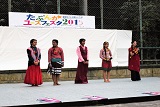 多文化ユースフェスタ2015の様子　ステージ上にさまざまな衣装来た人が立っている。