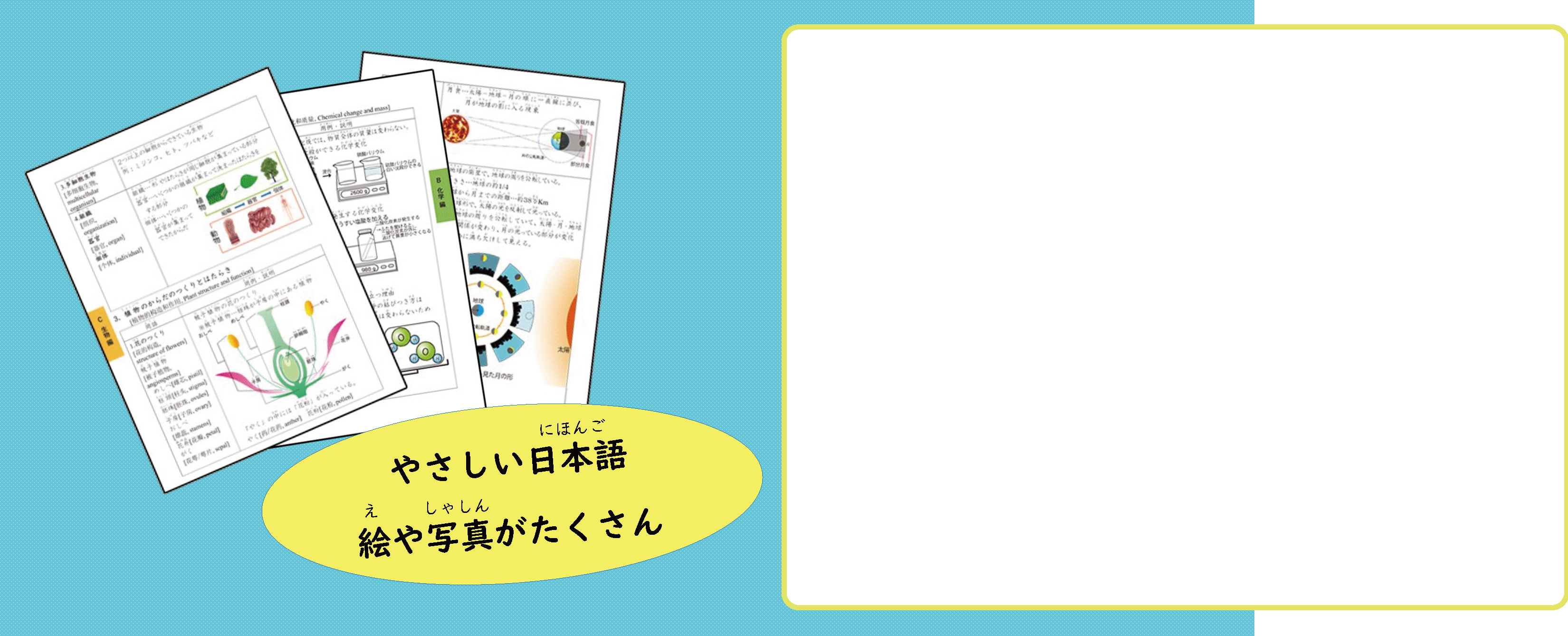 中学数学学習用語集 やさしい日本語　絵や写真がたくさん　イラストが載った学習用語集のサンプル画像